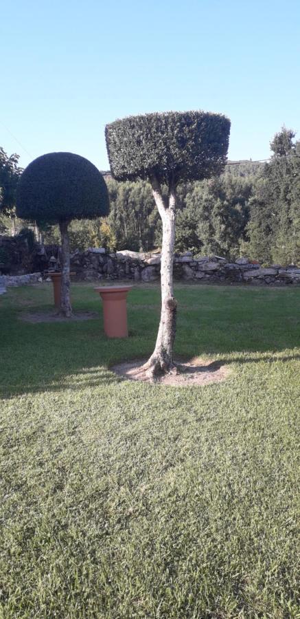 Vivenda Agostinho Vila Arcos de Valdevez Exterior foto